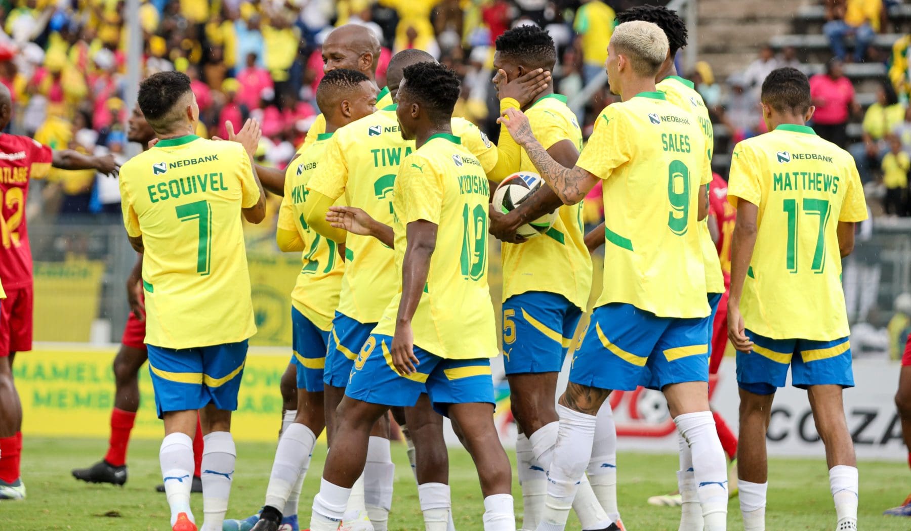 Mamelodi Sundowns during a match