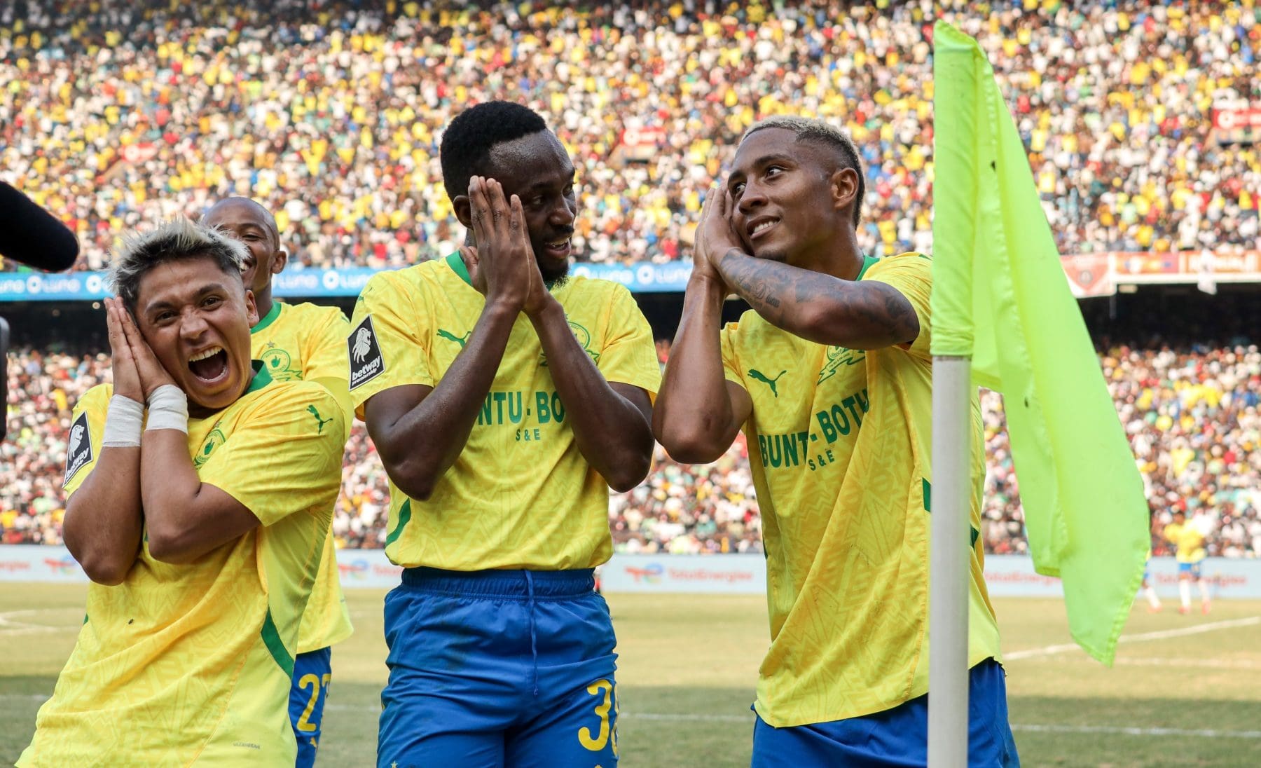 Mamelodi Sundowns during a match