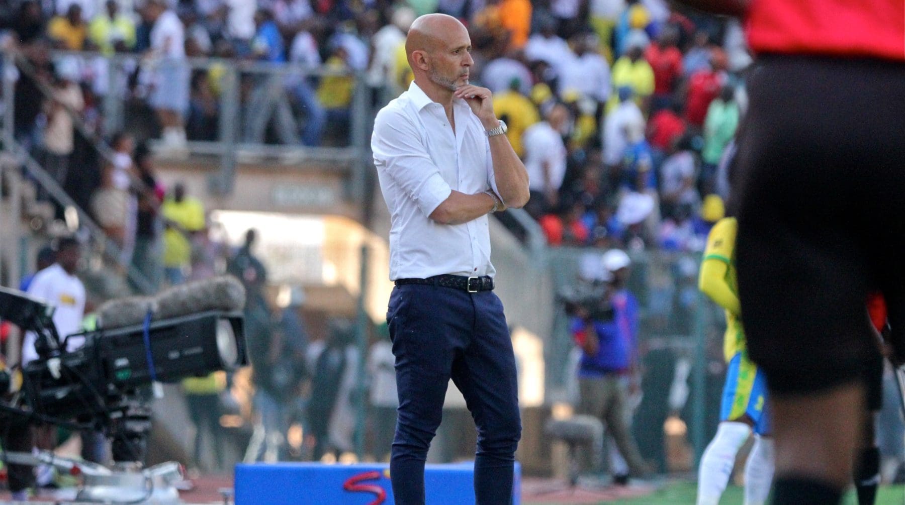 Miguel Cardoso on the touch line at Mamelodi Sundowns