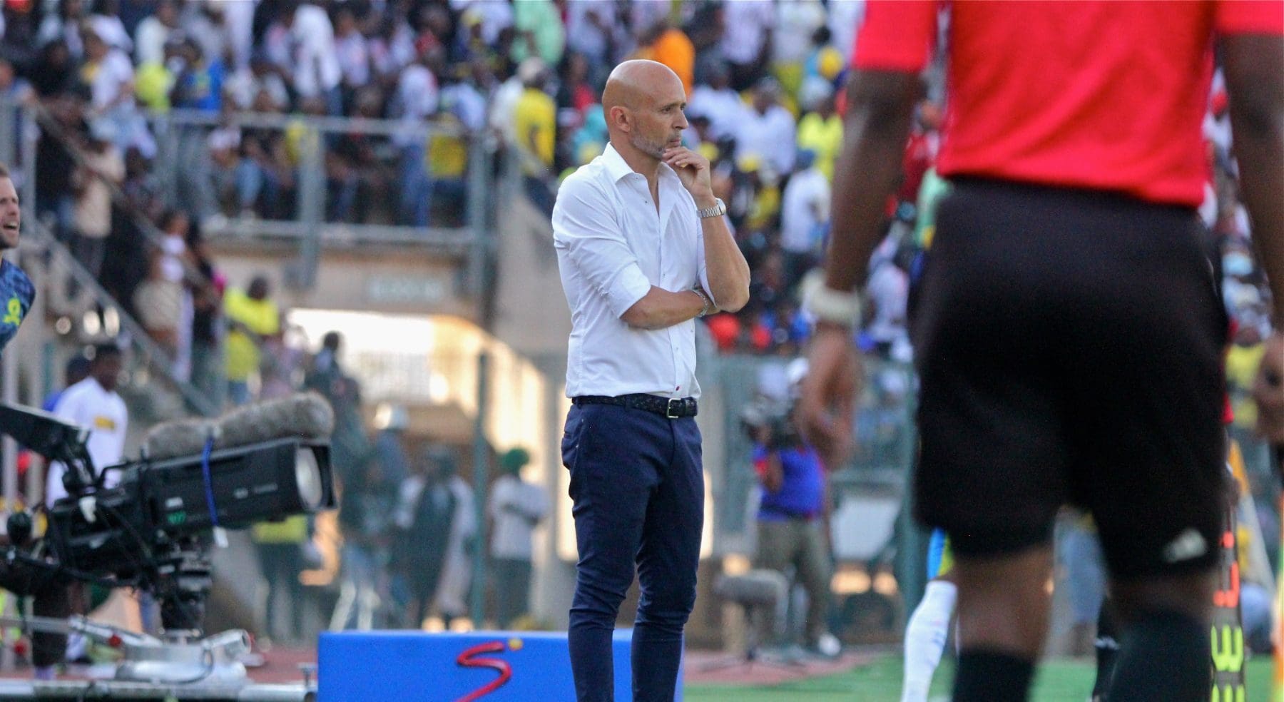Miguel Cardoso on the sideline at Mamelodi Sundowns