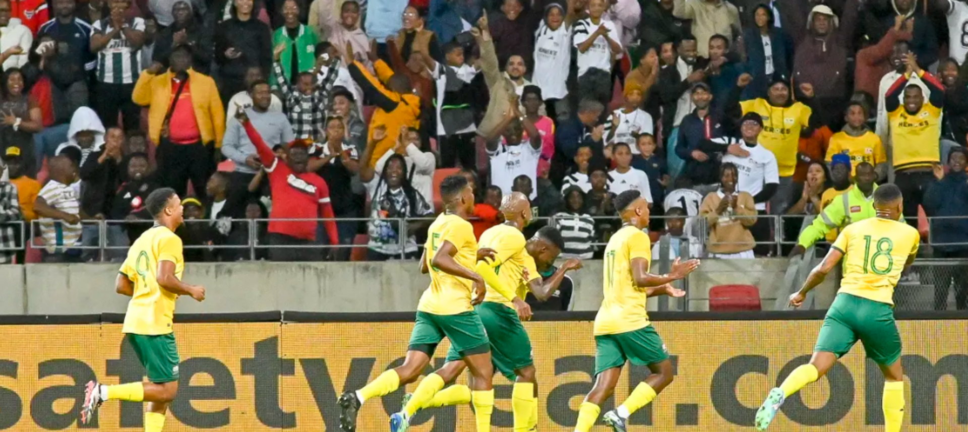 Bafana Bafana players